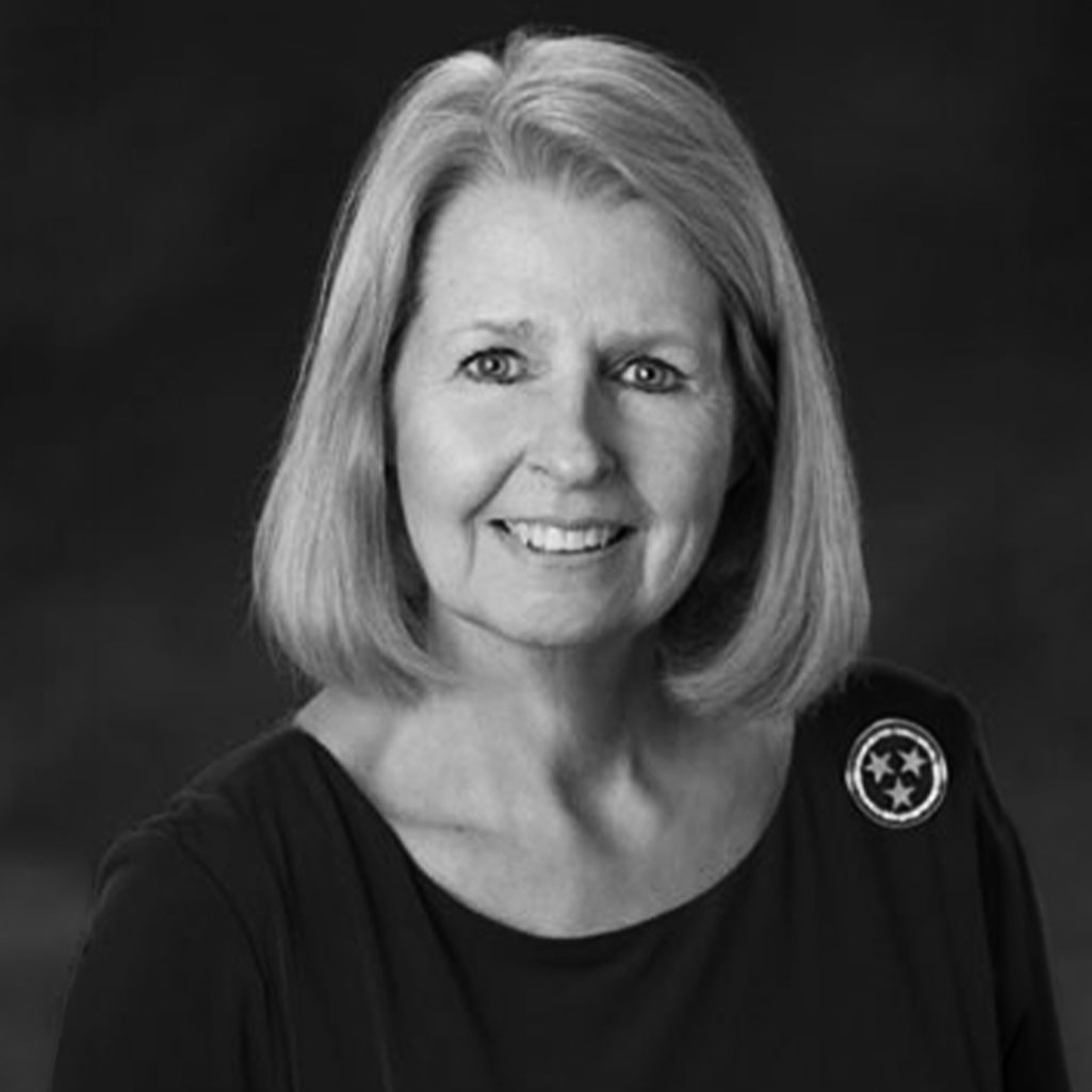 Linda Moss Mines, Official Chattanooga-Hamilton County Historian