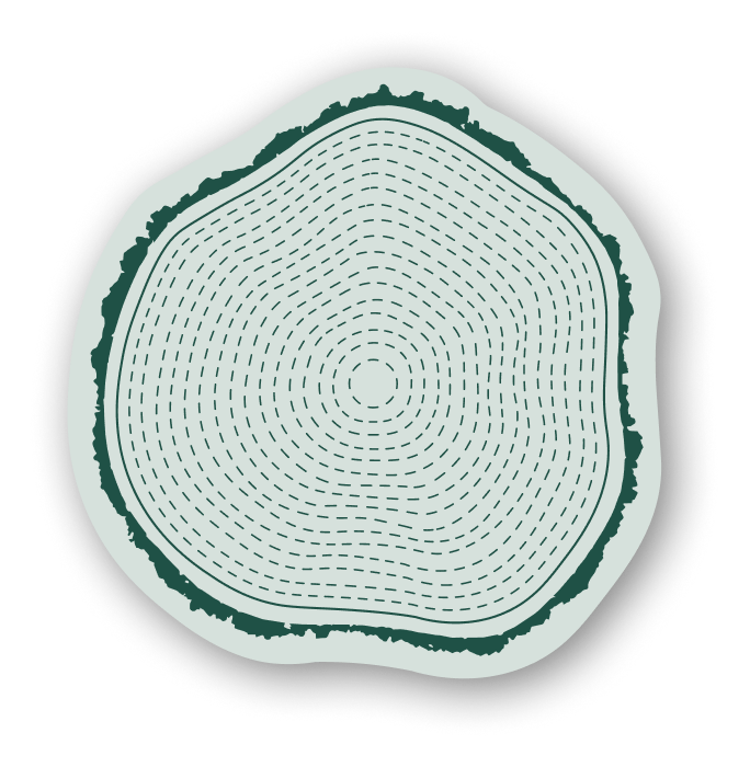 Tree rings sticker